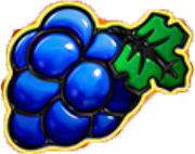 Symbol Winogrona Symbol Winogrona