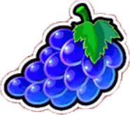 Symbol Winogrono Symbol Winogrono