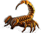 Skorpion Skorpion