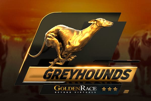 Greyhounds Greyhounds