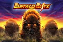 buffaloblitz