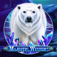 Majestic Winter Majestic Winter