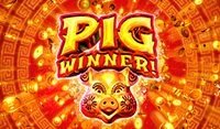 Pig Winner Pig Winner