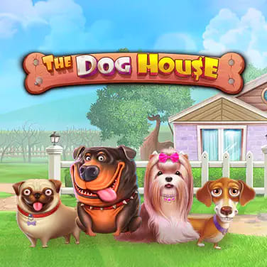 The Dog House The Dog House