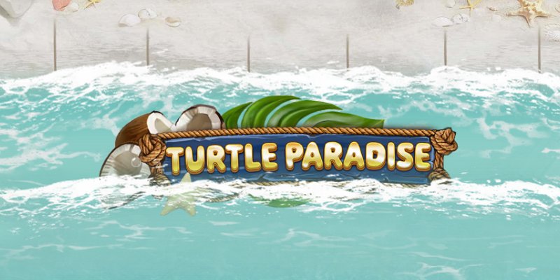 Turtle Paradise
