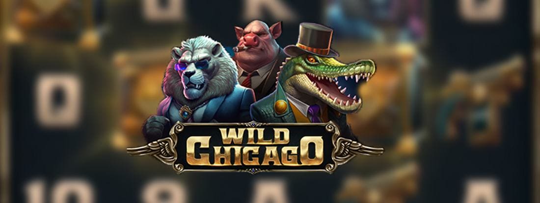 Wild Chicago Wild Chicago